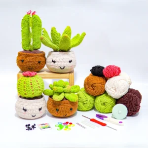 Succulent Cactus Love Flower Fruit Crochet Kit